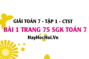 Giải bài 1 trang 75 Toán 7 Tập 1 SGK Chân trời sáng tạo